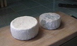 Tuma cheeses