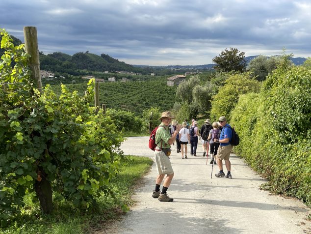 Prosecco Hills Walk