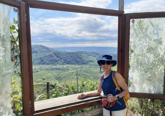 View of Prosecco Hills