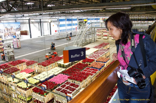 Aalsmeer Flower Auction