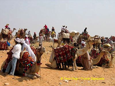Camel park.

[The Giza Plateau - The Great Pyramids - Egypt]