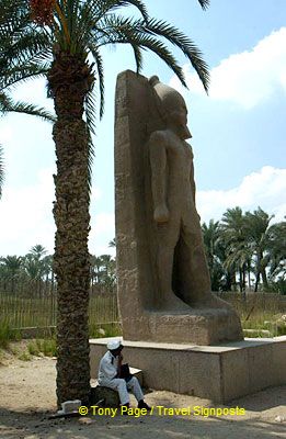 In the garden can be found more statues of Rameses II.
[Temple of Ptah - Mit Rahina village - Memphis - Egypt]