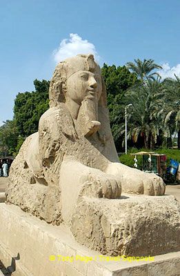 At 80 tons, this is the largest calcite statue ever found.
[Temple of Ptah - Mit Rahina village - Memphis - Egypt]