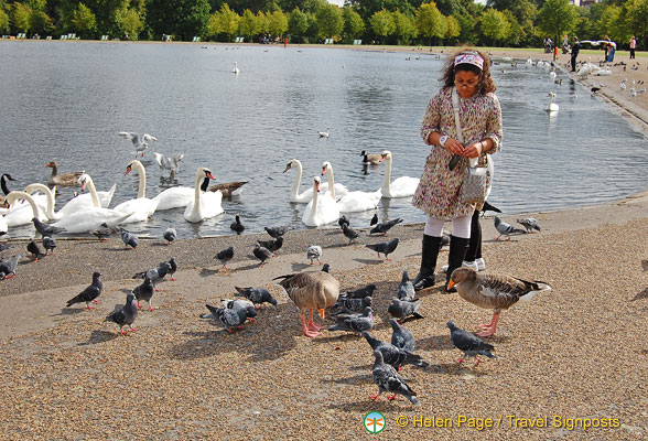 Bird feeding at the Round Pond, a favourite activity with kids