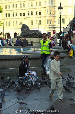 Pigeon feeding at Trafalgar Square