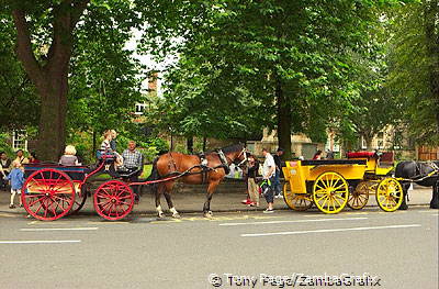 Jaunting carts for hire