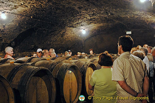 Wine-tasting, Gevry-Chambertin, Cote d'Or, France