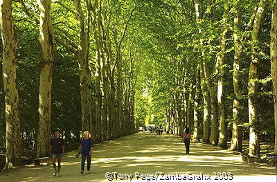 Grand avenue leading to Chateau Chenonceau [Chateaux Country - The Loire - France]