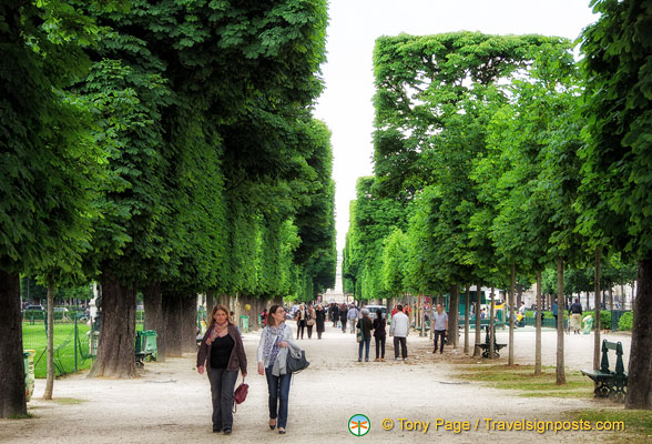 Tree-lined paths in the Luxembourg garden