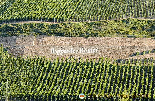 Vineyards at Bopparder Hamm