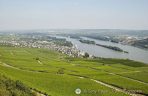 [Rudesheim - Rhine River Cruise - Germany]