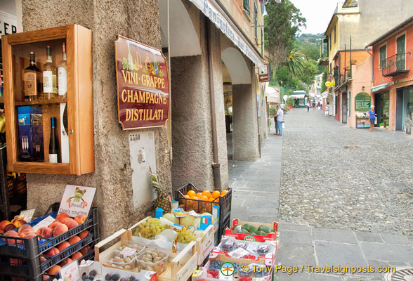 Shopping street in Portofino