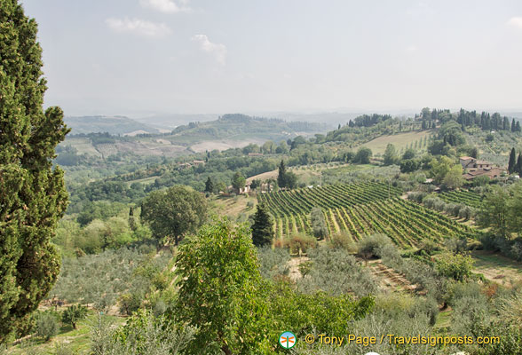 View of San Gimignano countryside and vineyards