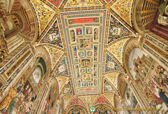 Ceiling of the Piccolomini Library