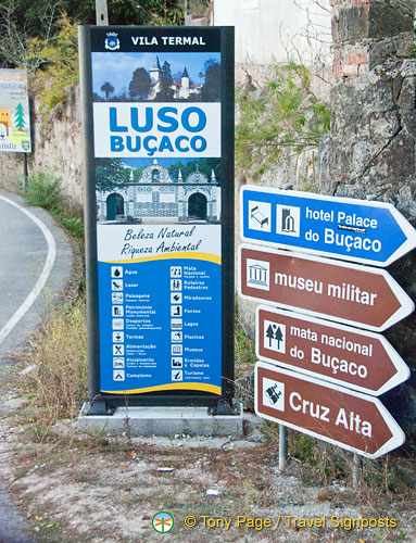 Bucaco National Forest