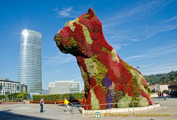 Guggenheim Museum: Puppy in a beautiful coat of flowers which is watered by an internal system