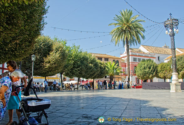 Plaza de San Fernando: Locals gather here and relax under the shade of the trees