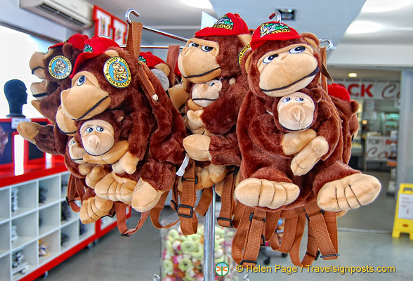 These apes you can hug