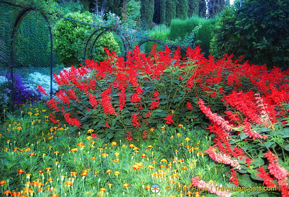 Generalife Palace: Splash of colours in the garden