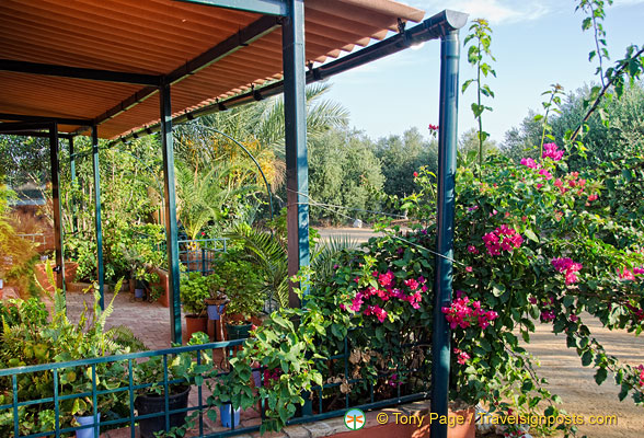 The lovely gardens of Hacienda Merrha