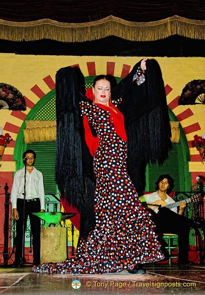 She is a leading Seville flamenco dancer