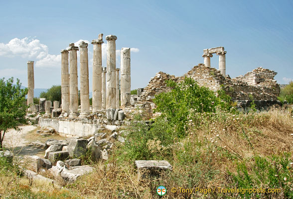 Columns of the Temple of Aphrodite