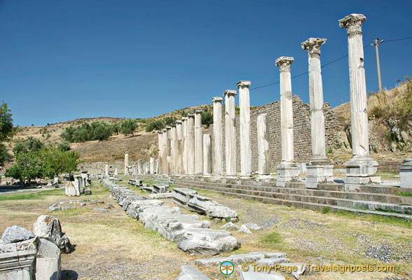 Via Tecta was the colonnaded and paved sacred way