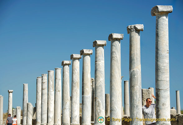 Restored columns at Perge
