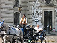 A horse and carriage sightseeing tour of Vienna