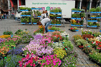 Grand-Place daily flower market