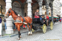 Sightseeing Brussels in a horse and carriage