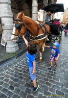 Little kids admiring the horse