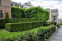 Beautiful hedges around the Place Royale