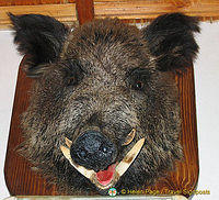 Rila Monastery, Bulgaria