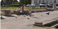 Zadar - Croatia - Pidgeon feeding