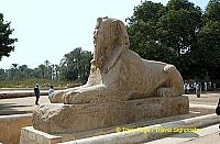 [Temple of Ptah - Mit Rahina village - Memphis - Egypt]
