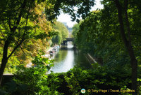 Regent's Canal hidden by trees