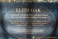 The Elfin Oak - originally carved in 1911
