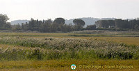 Arles countryside