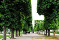 Tree-lined path in Jardin du Luxembourg