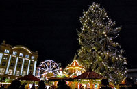 Dresden Altmarkt Christmas tree