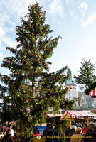 Leipzig Marktplatz Christmas Tree