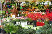 Viktualienmarkt florist at Christmas