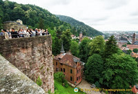 Heidelberg Castle - from the viewing terrace