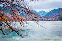 Beautiful Alpsee Lake