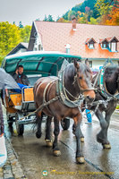Horse-and-carriage