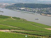 View of the Rhine vineyards from the Statue of Germania viewpoint