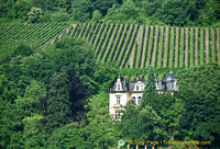 Beautiful vineyards of Traben-Trarbach
