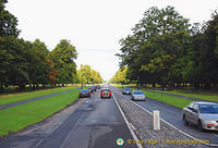 Phoenix Park is one of the largest enclosed city parks in Europe