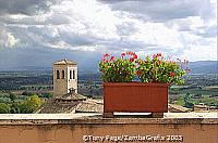 Assisi is a charming base from which to explore the Umbrian region
